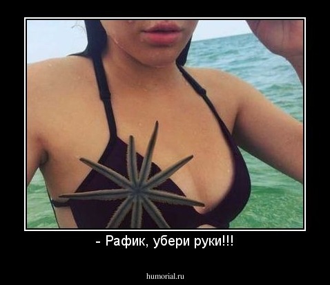- Рафик, убери руки!!!