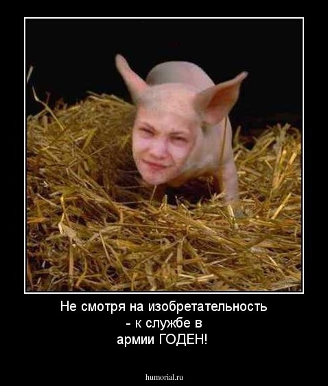 Не смотря на изобретательность - к службе в армии ГОДЕН!