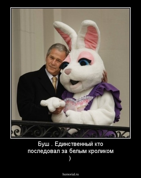 Буш . Единственный кто последовал за белым кроликом )