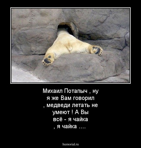 Михаил Потапыч , ну я же Вам говорил , медведи летать не умеют ! А Вы всё  - я чайка , я чайка ....