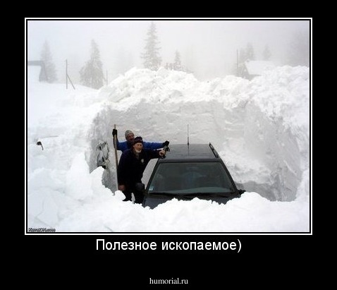 Полезное ископаемое)