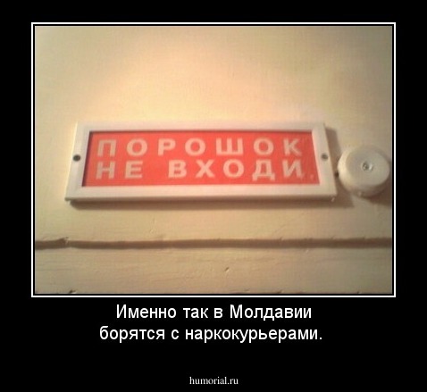 Именно так в Молдавии борятся с наркокурьерами. 