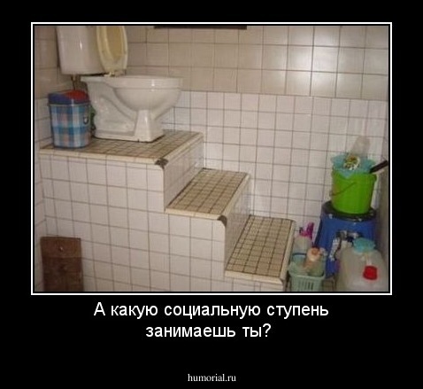А какую социальную ступень занимаешь ты?