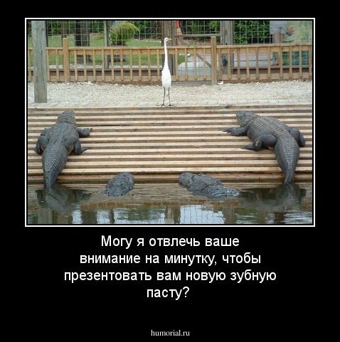 Могу я отвлечь ваше внимание на минутку, чтобы презентовать вам новую зубную пасту?