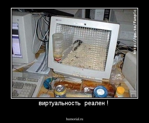 виртуальность  реален ! 