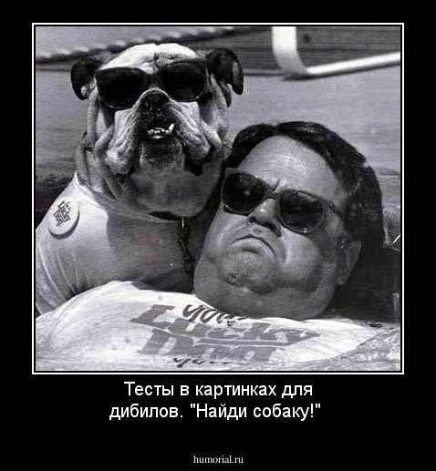 Тесты в картинках для дибилов. "Найди собаку!"