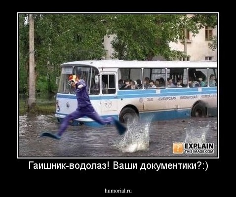 Гаишник-водолаз! Ваши документики?:)