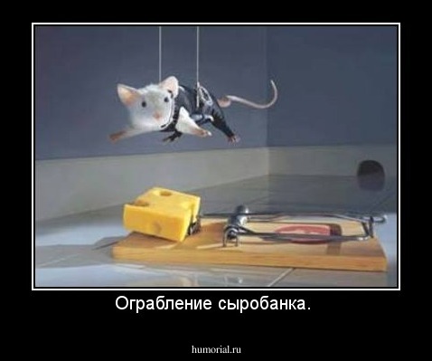 Ограбление сыробанка. 