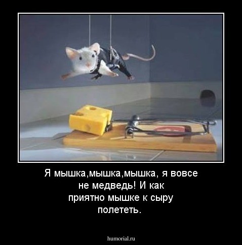 Я мышка,мышка,мышка, я вовсе не медведь! И как приятно мышке к сыру полететь.