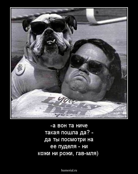 -а вон та ниче такая пошла да?
- да ты посмотри на ее пуделя - ни кожи ни рожи, гав-мля)