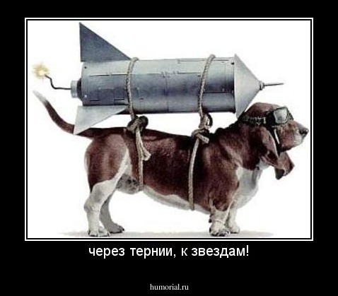 через тернии, к звездам!