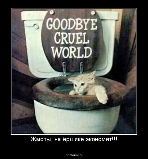 Жмоты, на ёршике экономят!!!