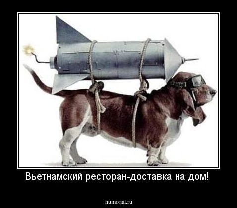 Вьетнамский ресторан-доставка на дом!