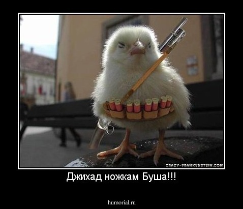Джихад ножкам Буша!!!