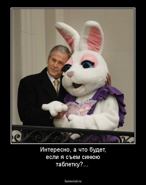 Интересно, а что будет, если я съем синюю таблетку?...