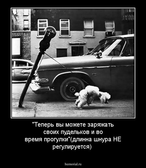 "Теперь вы можете заряжать своих пудельков и во время прогулки"(длинна шнура НЕ регулируется)