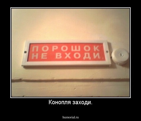 Конопля заходи.