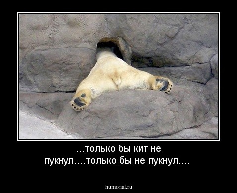 ...только бы кит не пукнул....только бы не пукнул....