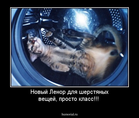 Новый Ленор для шерстяных вещей, просто класс!!!