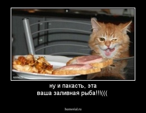 ну и пакасть, эта ваша заливная рыба!!!(((