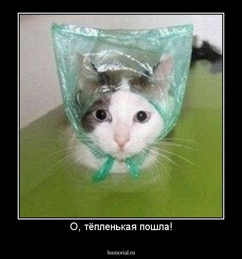 О, тёпленькая пошла!