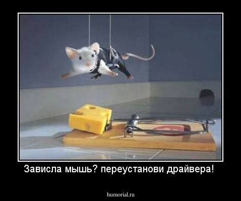 Зависла мышь? переустанови драйвера!