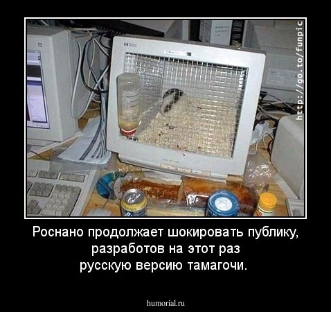 Роснано продолжает шокировать публику, разработов на этот раз русскую версию тамагочи.
