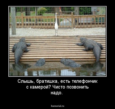 Слышь, братишка, есть телефончик с камерой? Чисто позвонить надо.