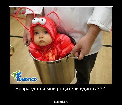 Неправда ли мои родители идиоты??? 