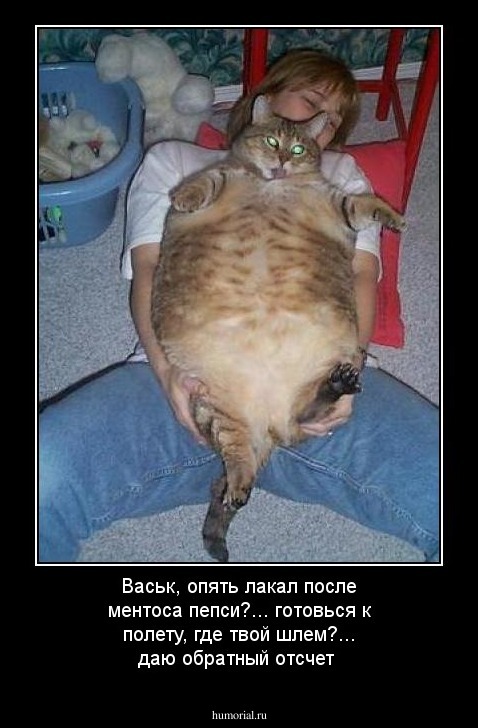 Васьк, опять лакал после ментоса пепси?...  готовься к полету, где твой шлем?... даю обратный отсчет
