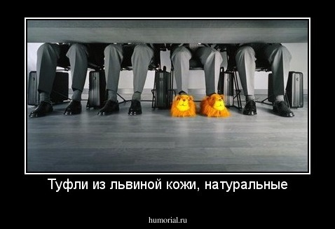 Туфли из львиной кожи, натуральные