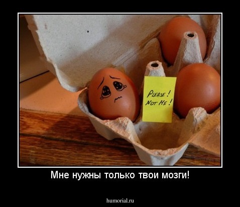 Мне нужны только твои мозги!