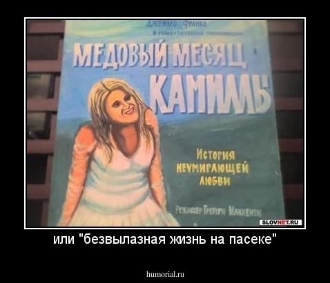 или "безвылазная жизнь на пасеке"