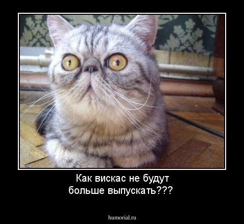 Как вискас не будут больше выпускать???