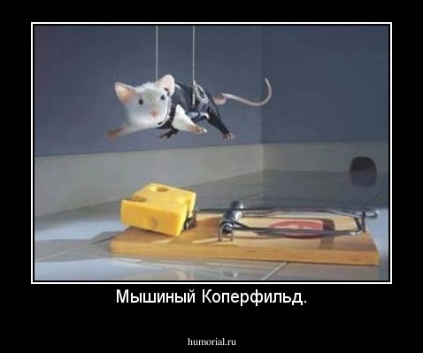 Мышиный Коперфильд.
