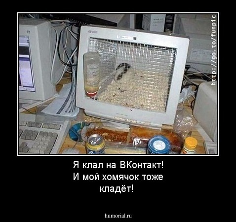 Я клал на ВКонтакт! И мой хомячок тоже кладёт!