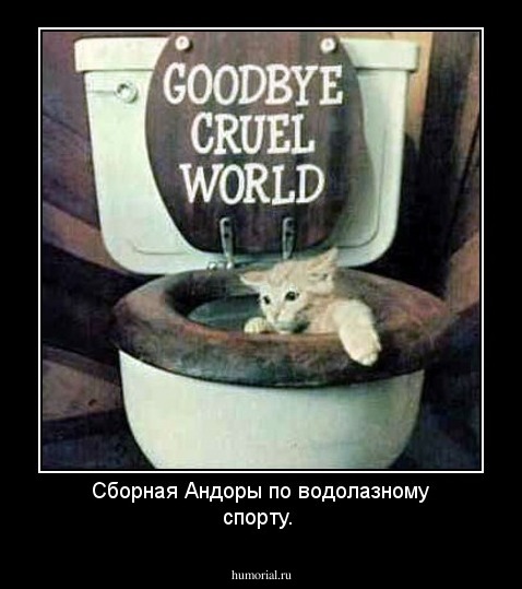 Сборная Андоры по водолазному спорту.