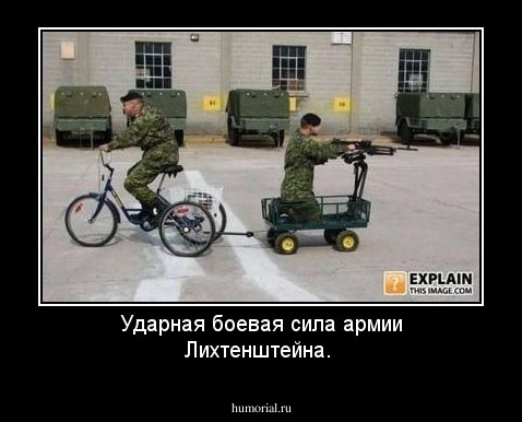 Ударная боевая сила армии Лихтенштейна.