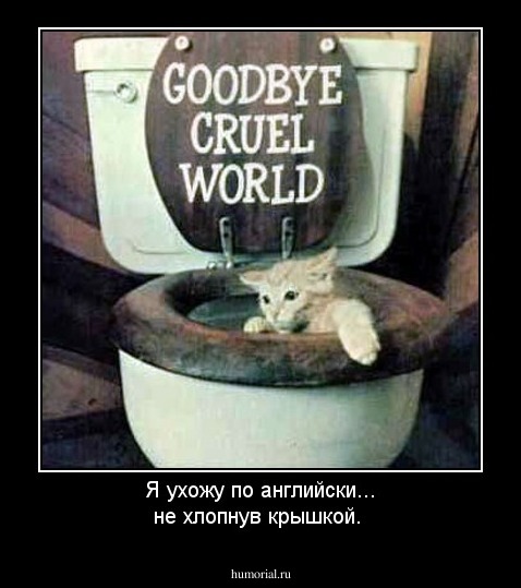 Я ухожу по английски... не хлопнув крышкой.