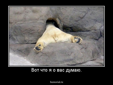 Вот что я о вас думаю.