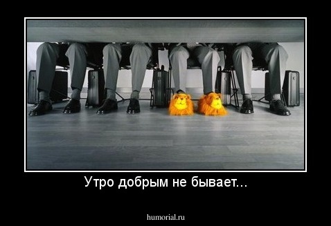 Утро добрым не бывает...