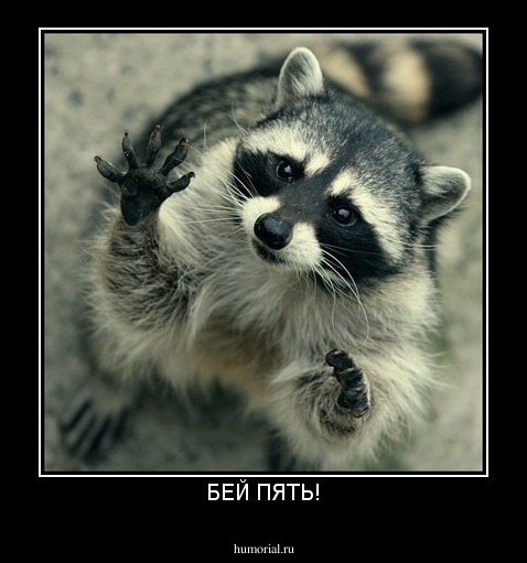 БЕЙ ПЯТЬ!