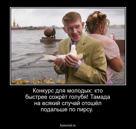 Конкурс для молодых: кто быстрее сожрёт голубя! Тамада на всякий случай отошёл подальше по пирсу.