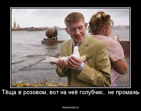Тёща в розовом, вот на неё голубчик.. не промажь