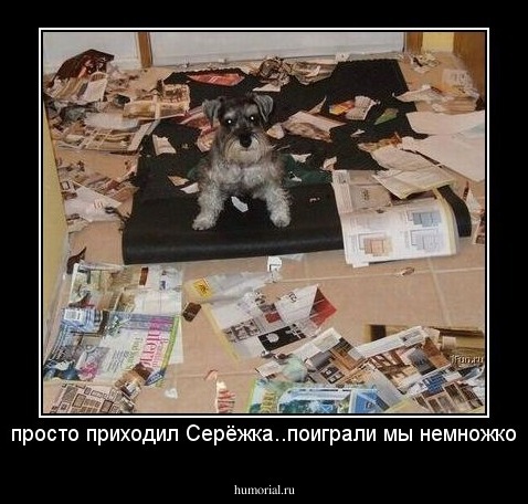 просто приходил Серёжка..поиграли мы немножко
