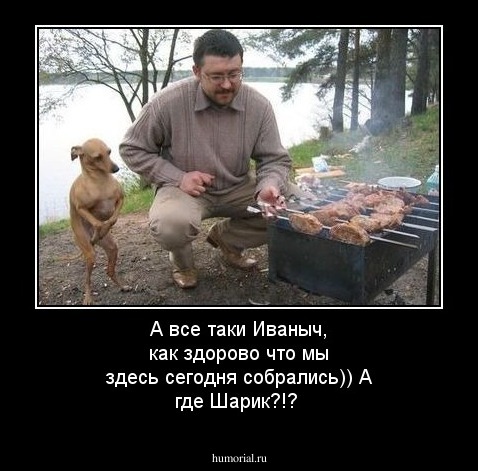 А все таки Иваныч, как здорово что мы здесь сегодня собрались)) А где Шарик?!?