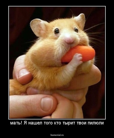 мать! Я нашел того кто тырит твои пилюли