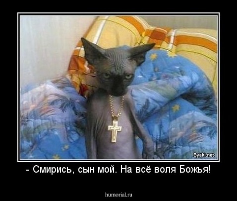 - Смирись, сын мой. На всё воля Божья!