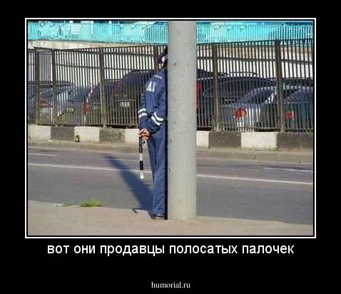 вот они продавцы полосатых палочек