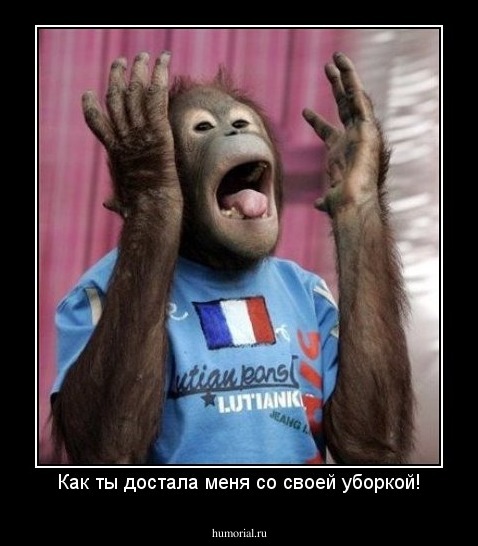 Как ты достала меня со своей уборкой!